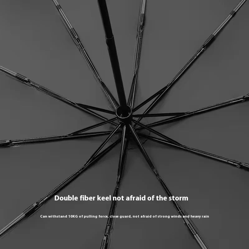Folding umbrella frame and ribs