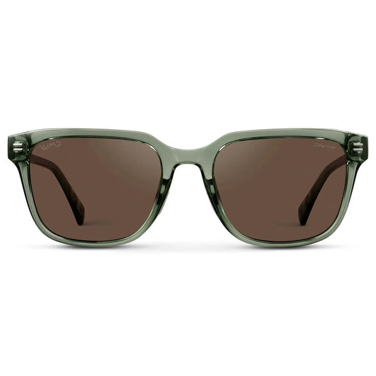 Polarized Rectangular Sunglasses with Metal Accents and Sleek Geometric Lines